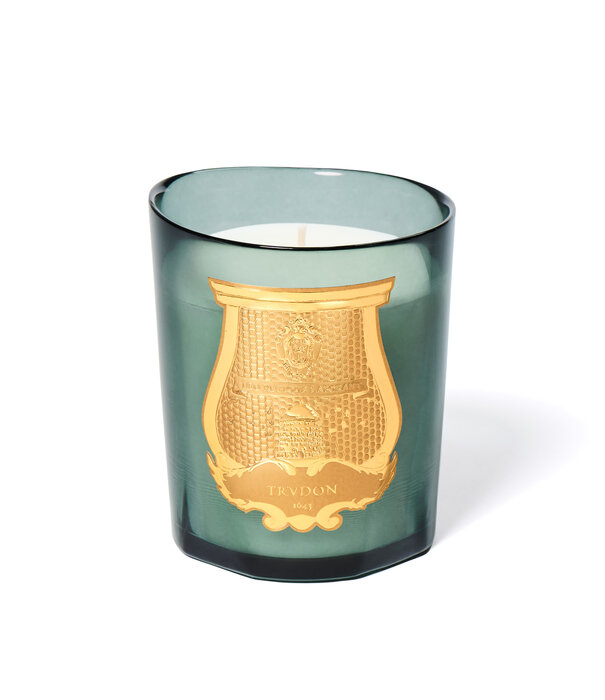 Trudon Bougie Figuerie 270g