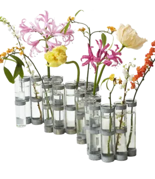 Vase D'Avril Le Classique