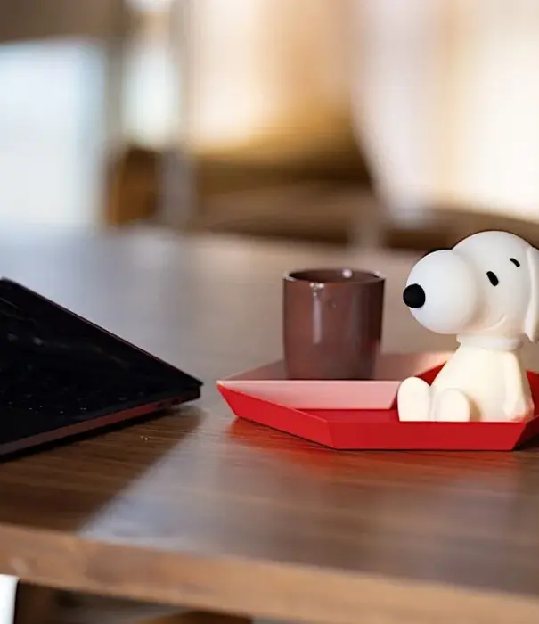 Snoopy Bundle Of Light
