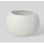 Petite Lumière · Boule À Neige