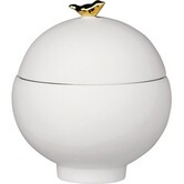 Boîte · Oiseau