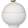 Boîte · Oiseau