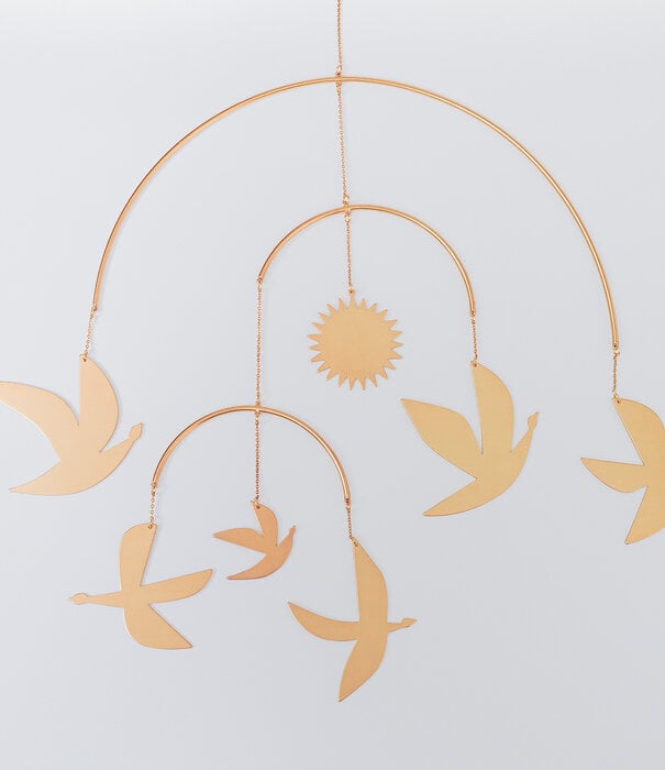 Rader Mobile Oiseaux