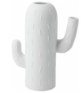 Vase Cactus · Cactus Colonnaire