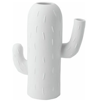 Vase Cactus · Cactus Colonnaire