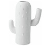 Vase Cactus · Cactus Colonnaire