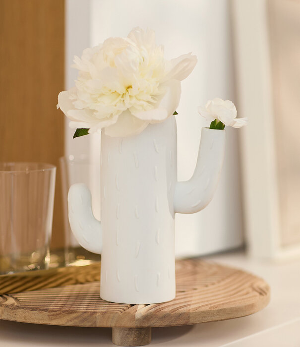 Rader Vase Cactus · Cactus Colonnaire