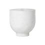 Alza Champagne Cooler