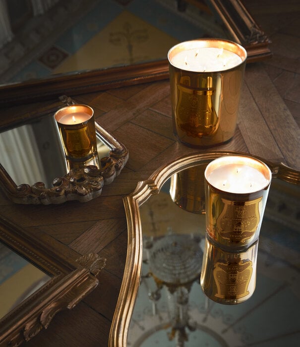Trudon Bougie Galerie Des Flammes 270g