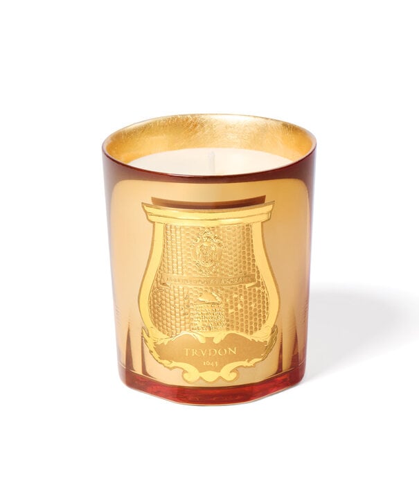 Trudon Bougie Galerie Des Flammes 270g