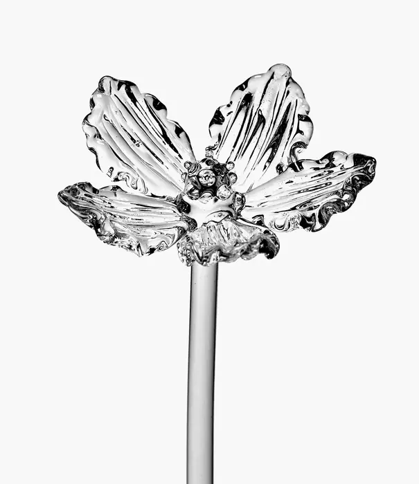 Serax Flower Poppy 02 Transparent Josephine