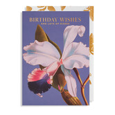 Carte - Birthday Wishes And A Lot Of Kisses