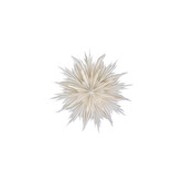 Star, Hddust, Off-White Dia L: 30 Cm