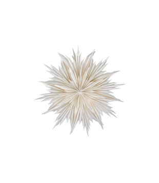 Star, Hddust, Off-White Dia L: 30 Cm