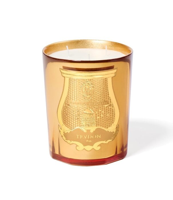 Trudon Bougie Galerie Des Flammes 800g