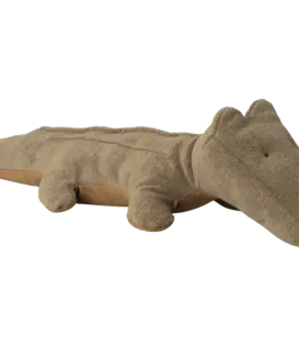 Crocodile Medium - Vert olive