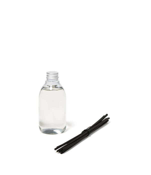 Trudon Recharge Diffuseur Gabriel