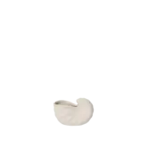 Shell Pot - Small