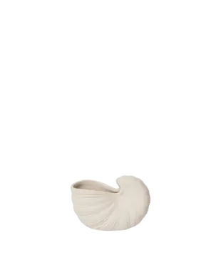 Shell Pot - Small