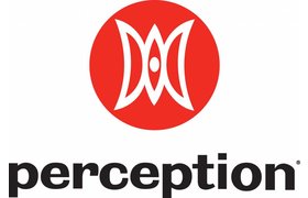 Perception