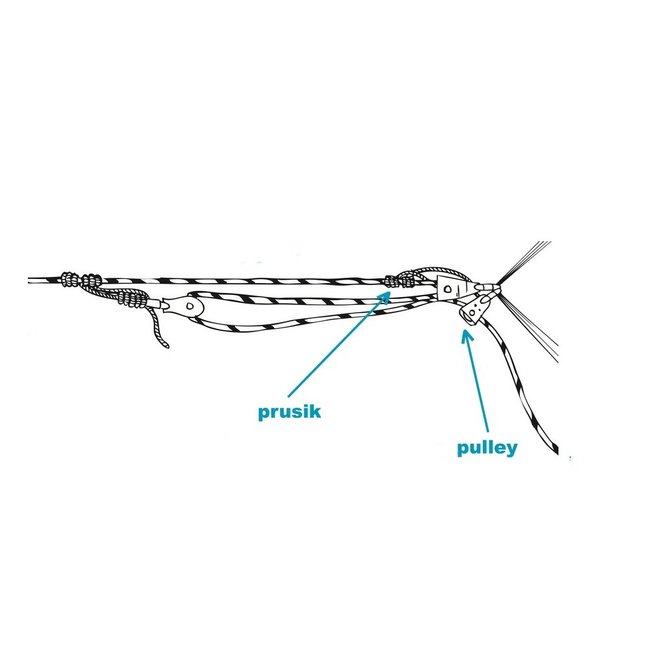 Palm Pulley-Katrol, Prusik Minding