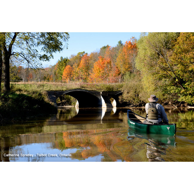 Nova Craft Bob Special 15, Tuffstuff, 2 webbing banken