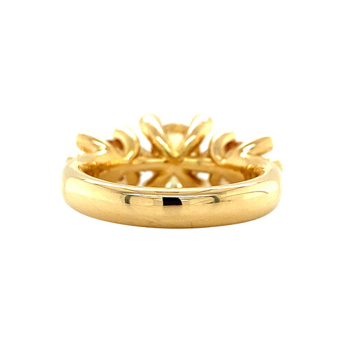 Gouden Bron Jewelry ring Phlox 18 krt