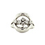 Weißgoldring mit 14 Karat Diamant