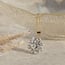 Bicolour gold entourage pendant with diamond 14 kt