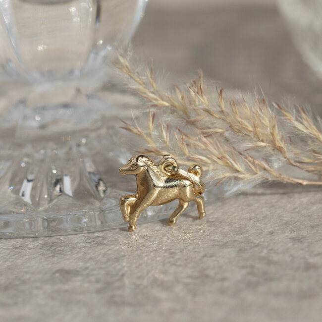 Gouden hanger paard 14 krt