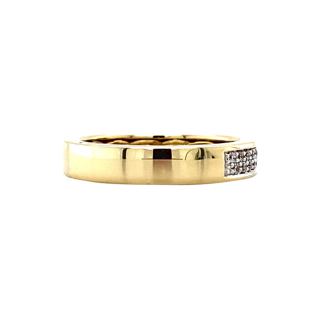 Gouden ring met zirkonia van Blush 14 karaat