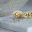 White gold solitaire ear studs with diamond 18 kt* new