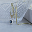 Gouden hanger met diamant en saffier 14 krt