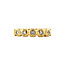 Goldreitring mit Diamant 18 Karat