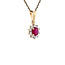 Gouden entourage hanger met diamant en robijn 14 karaat* Nieuw