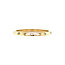 Gold (sliding) ring with 18 carat diamond