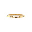 Gold (sliding) ring with 18 carat diamond