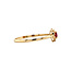 Gold entourage ring with ruby and diamond 14 carat* New