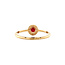 Gold entourage ring with ruby and diamond 14 carat* New