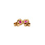 Gold entourage ear studs with ruby and diamond 14 karat* New