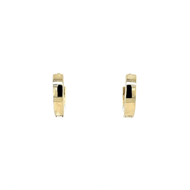 Gold hinged hoop earrings with zirconia 14 karat