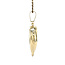 Gouden dolfijn hanger 14 karaat