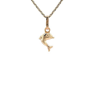 Gouden dolfijn hanger