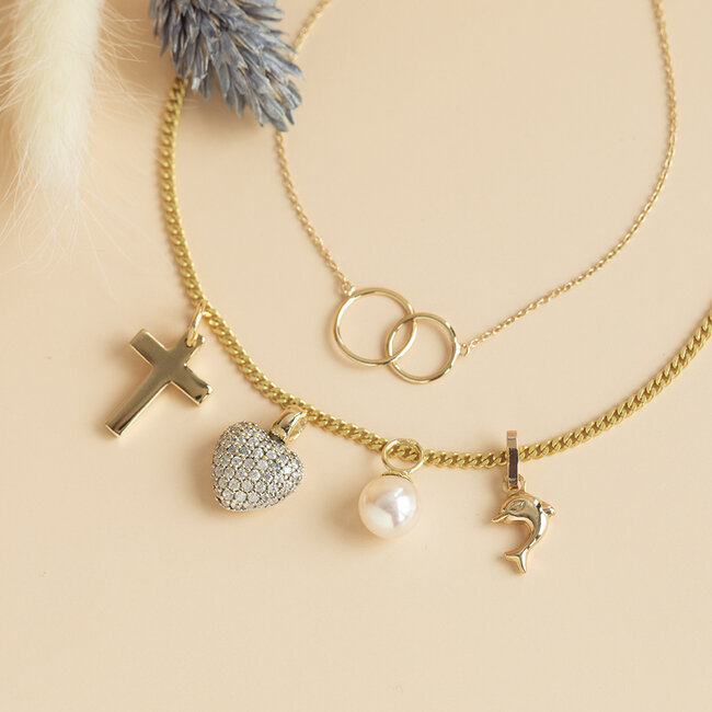 Gouden dolfijn hanger 14 karaat