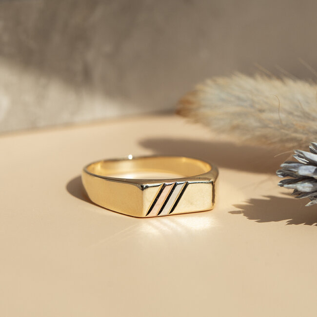 Tricolour gouden zegelring 14 karaat
