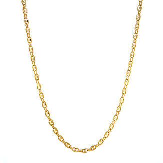 Gouden dubbele anker collier
