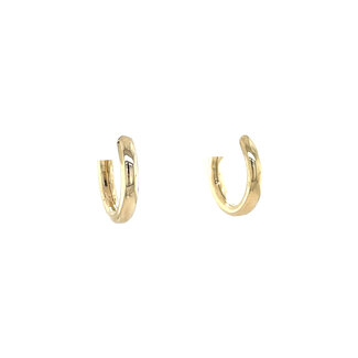 Earrings 9 carat