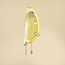 White gold smooth hoop earrings 14 kt