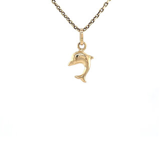 Gouden dolfijn hanger