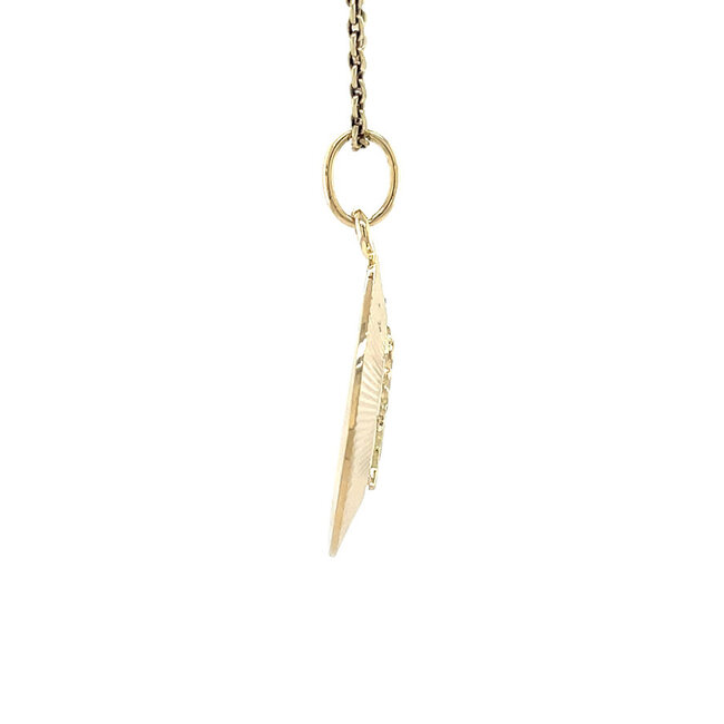 Gouden stier hanger 14 karaat